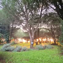 Photo 15 de l'entreprise