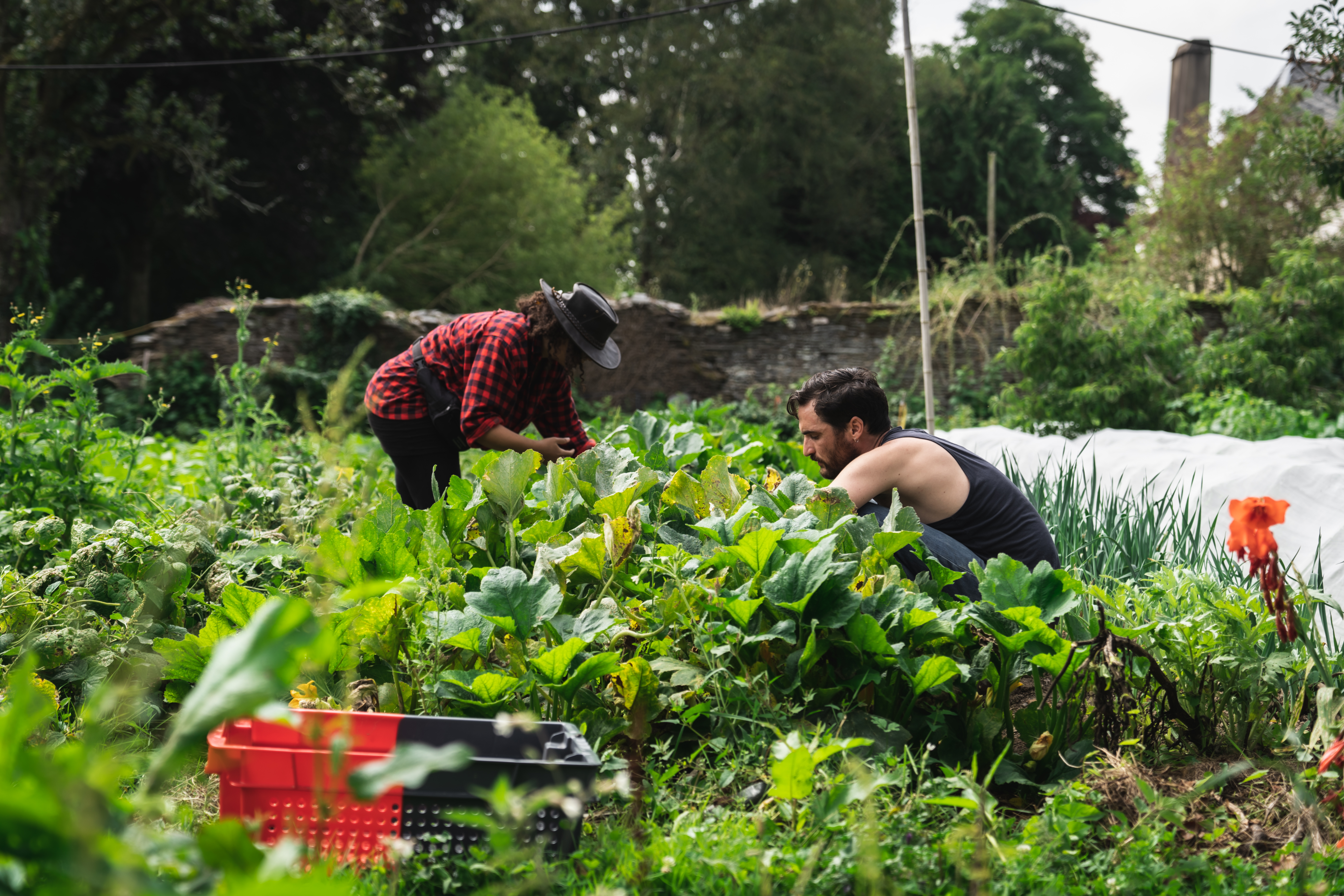 Photo 9 de l'exploitation