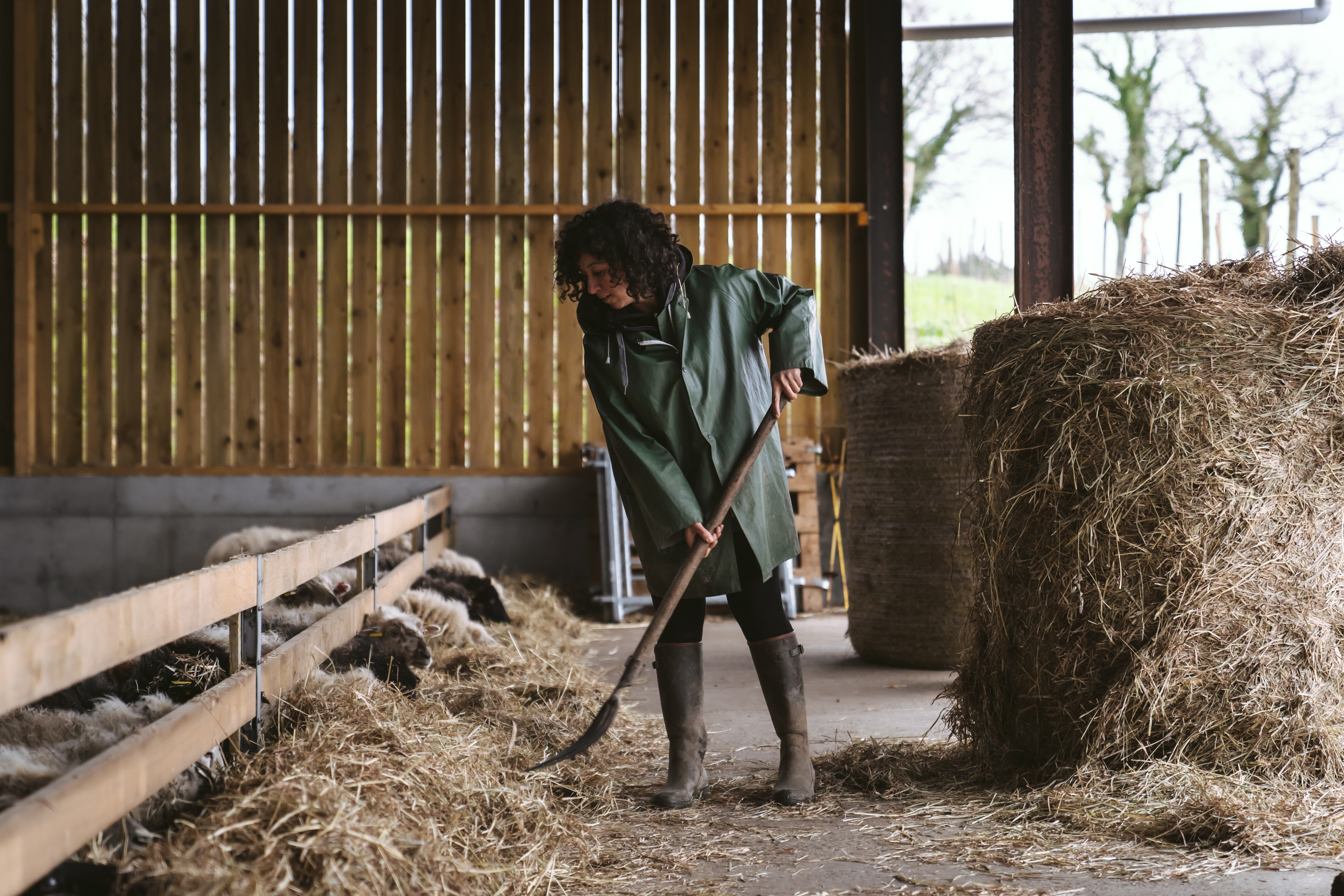 Photo 2 de l'exploitation