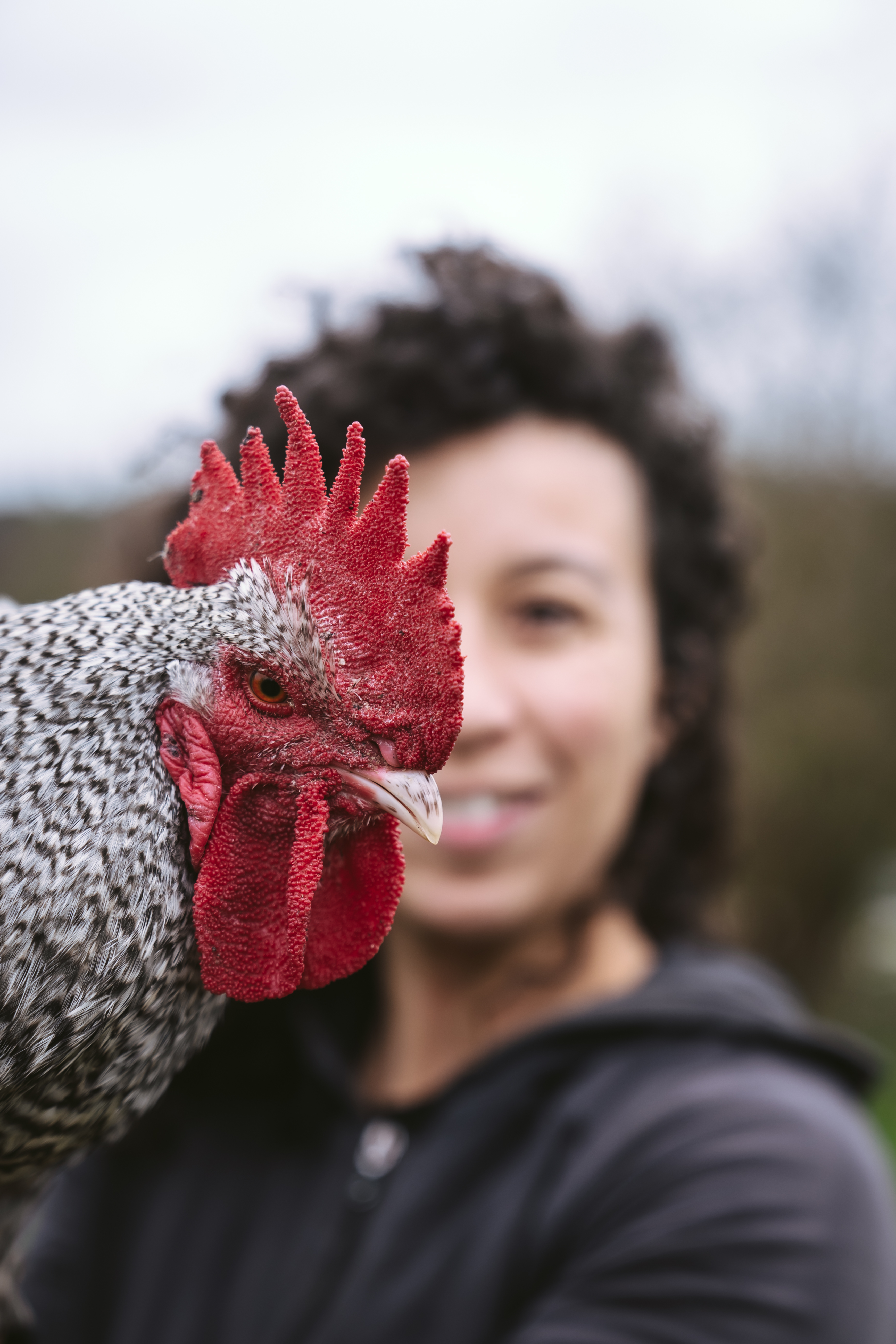 Photo 7 de l'exploitation