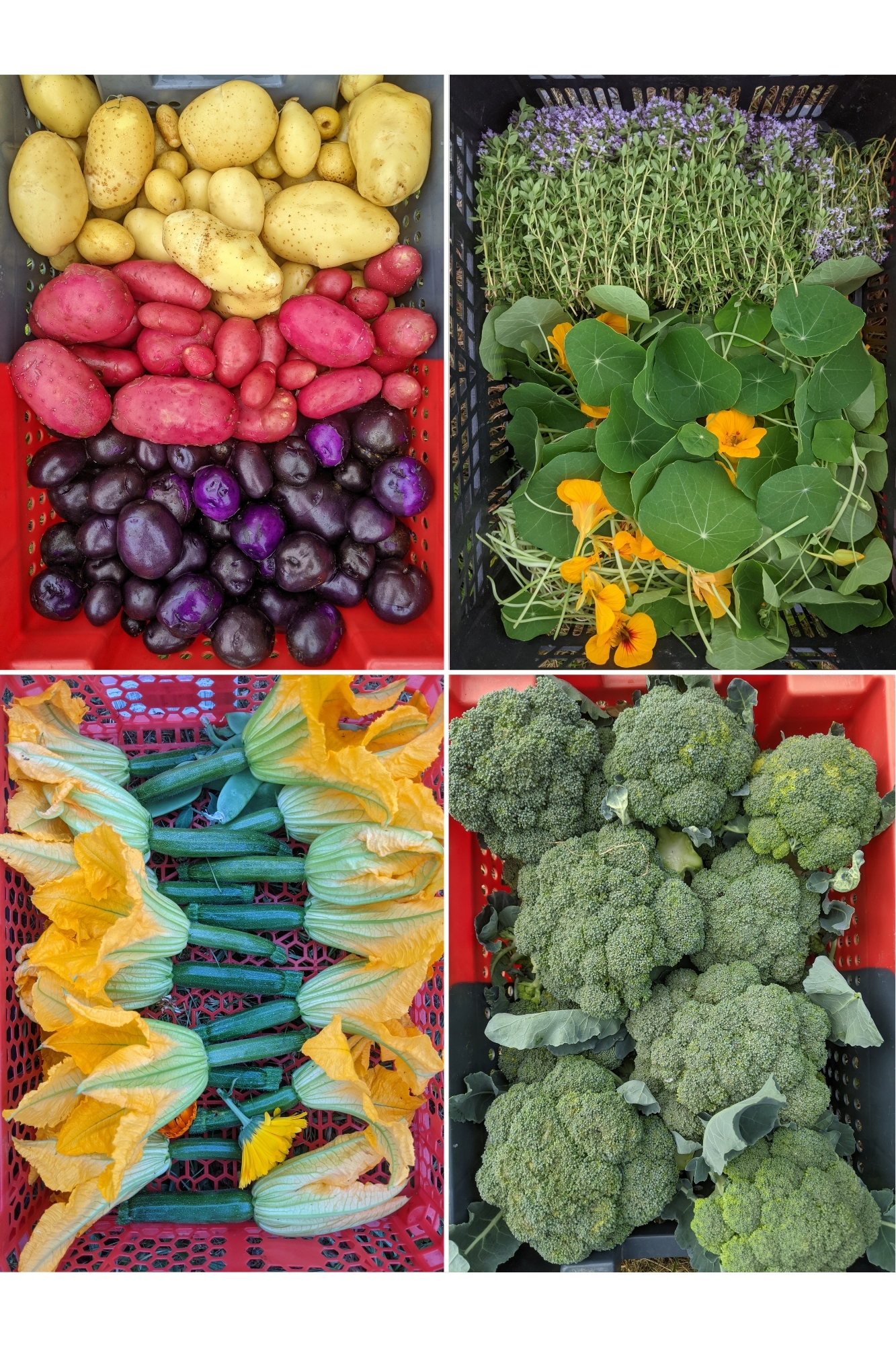 Photo 8 de l'exploitation