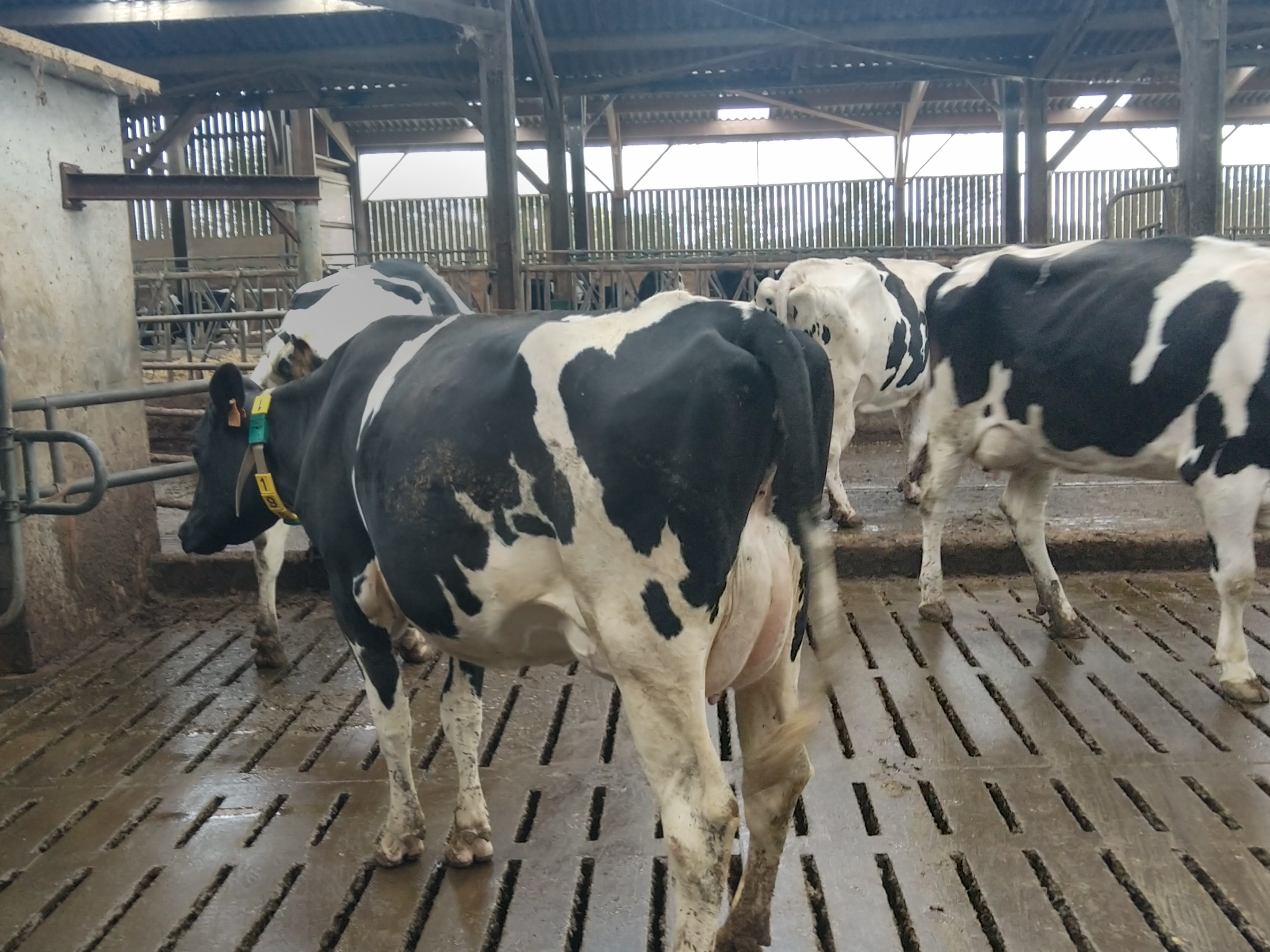 Photo 1 de l'exploitation