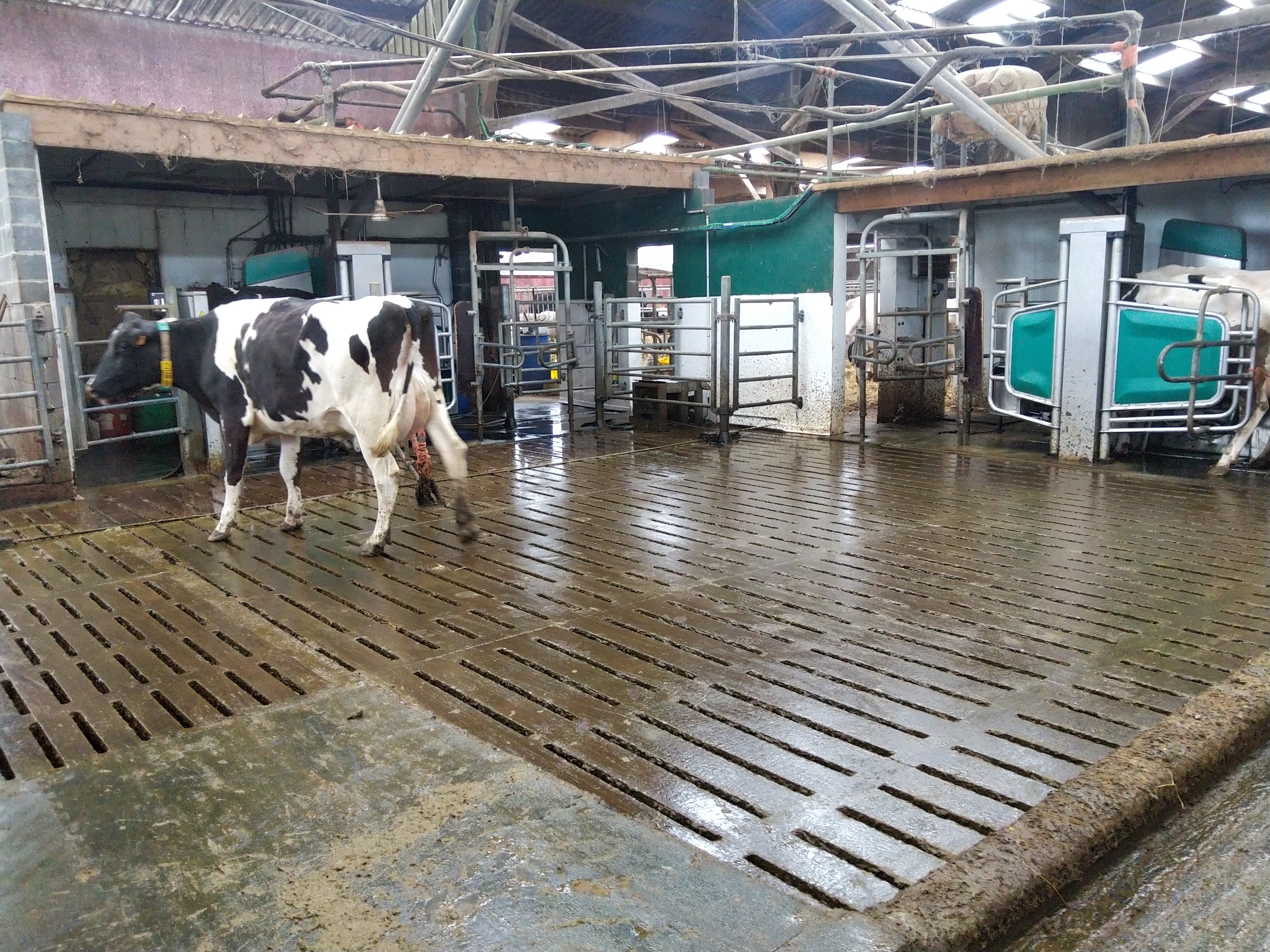 Photo 2 de l'exploitation