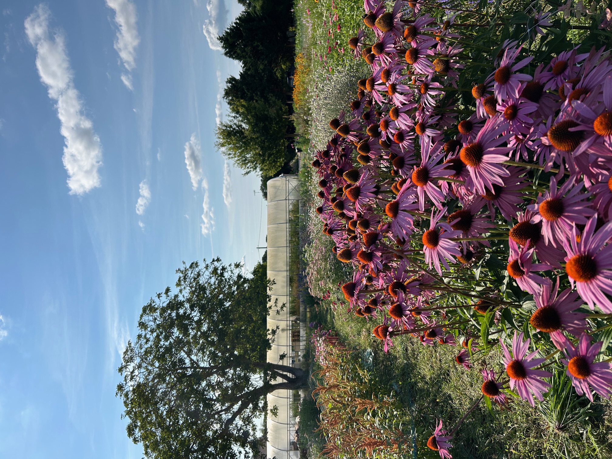 Photo 3 de l'exploitation