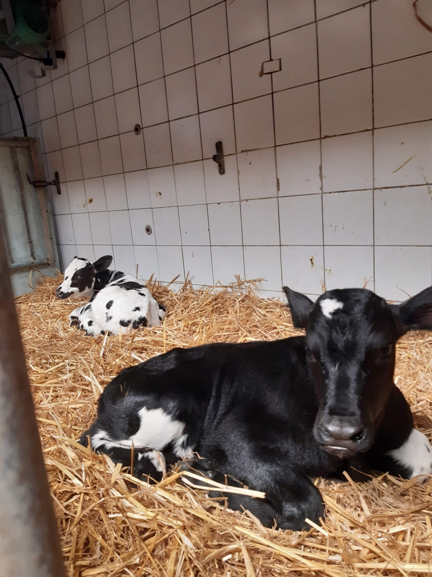 Photo 1 de l'exploitation