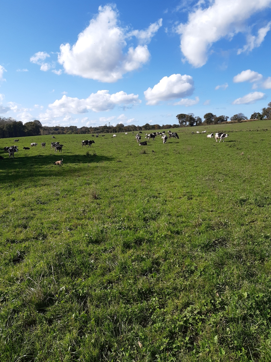 Photo 2 de l'exploitation