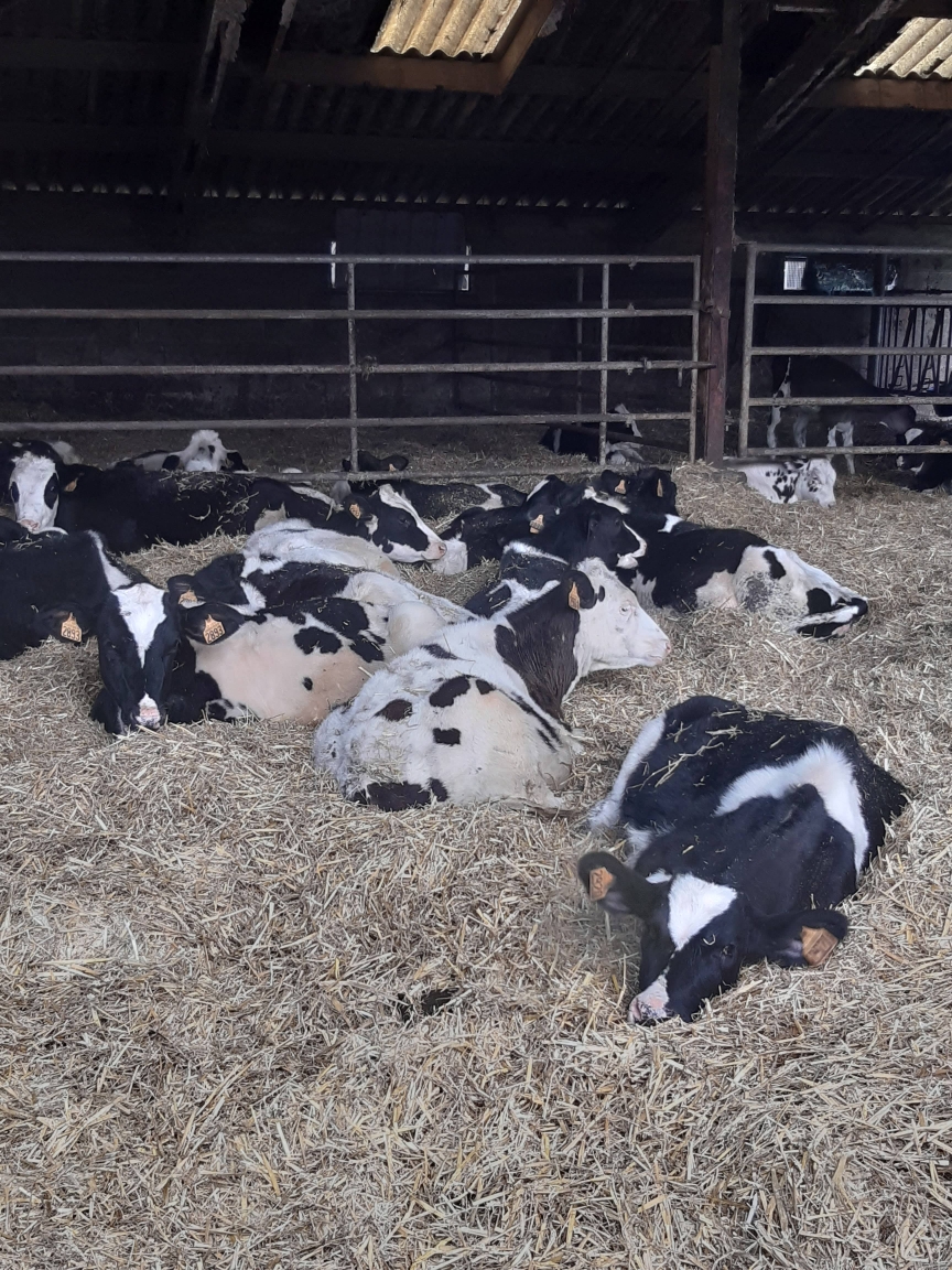 Photo 3 de l'exploitation