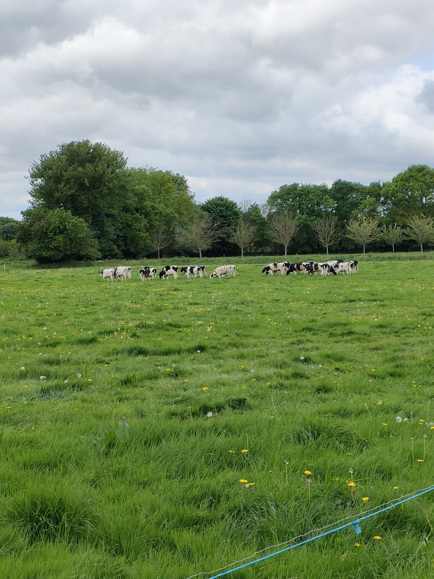 Photo 4 de l'exploitation