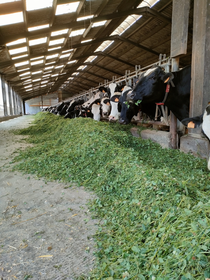 Photo 5 de l'exploitation