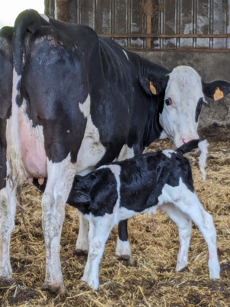 Photo 6 de l'exploitation