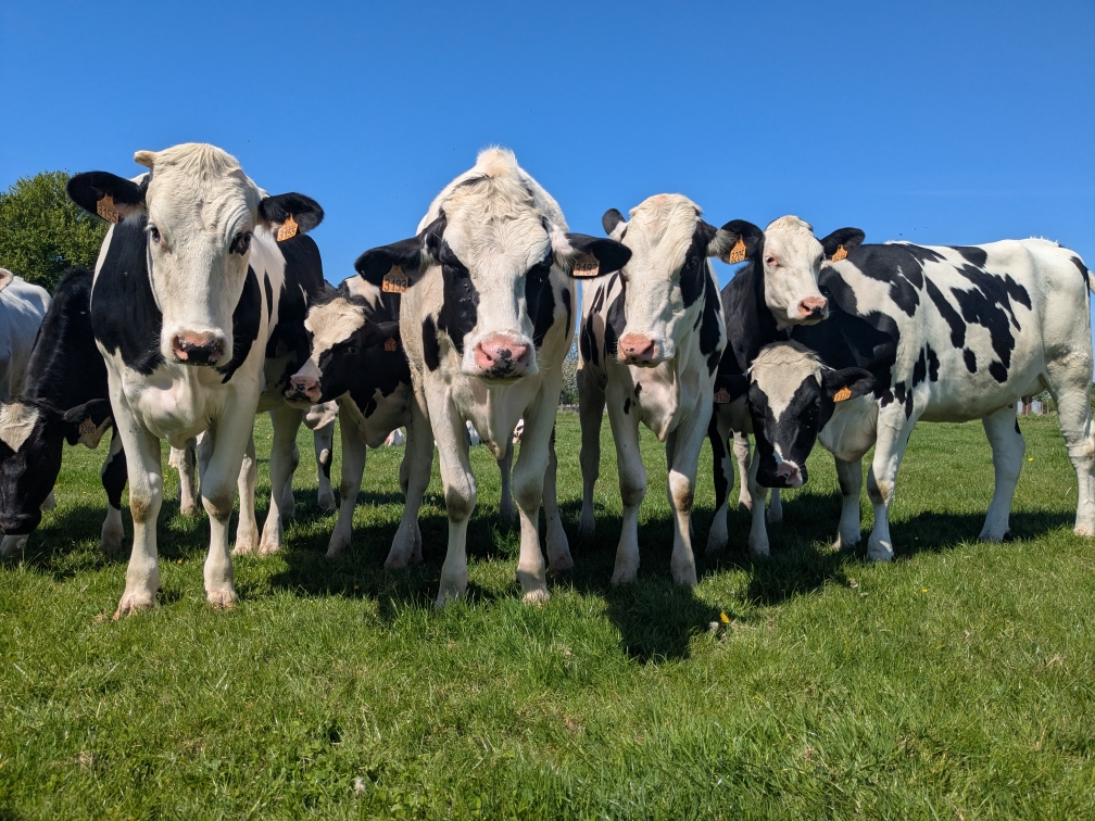 Photo 7 de l'exploitation