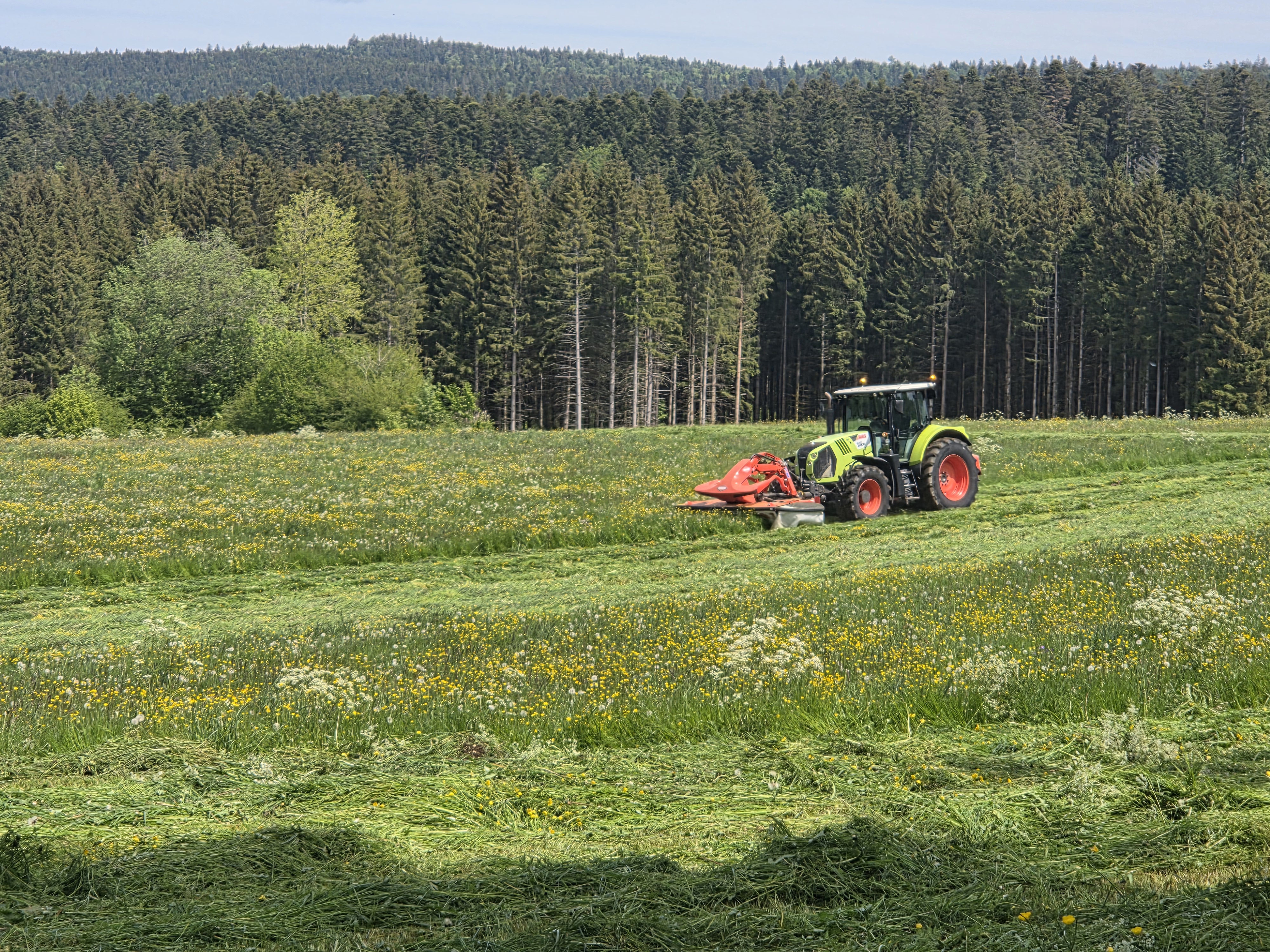 Photo 4 de l'exploitation