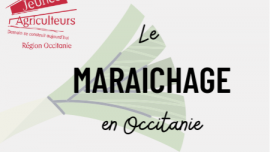 Miniature de l'actualité Découvre les filières agricoles et les métiers en Occitanie : Le Maraichage