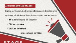 Miniature de l'actualité Gratification pendant les stages