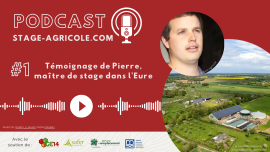 Miniature de l'actualité Lancement d'un podcast pour valoriser l'accueil de stagiaires et apprentis