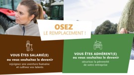 Miniature de l'actualité Le Service de remplacement : assurer la continuité en cas d'abence !