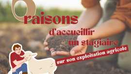 Miniature de l'actualité Accueillir un stagiaire : pourquoi pas vous ?