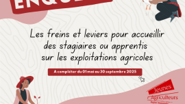 Miniature de l'actualité Enquête Normandie : Freins et leviers à l’accueil de stagiaires ou apprentis