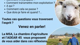 Miniature de l'actualité Et si on parlait de la transmission de son exploitation ?