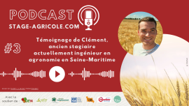 Miniature de l'actualité Podcast stage agricole normandie : 3ème épisode disponible !